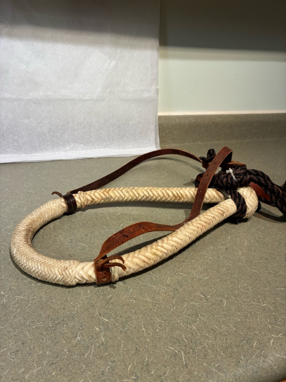 Bosal With Headstall**READ - Picture 5 of 14